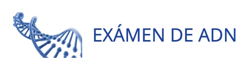 Examen de ADN